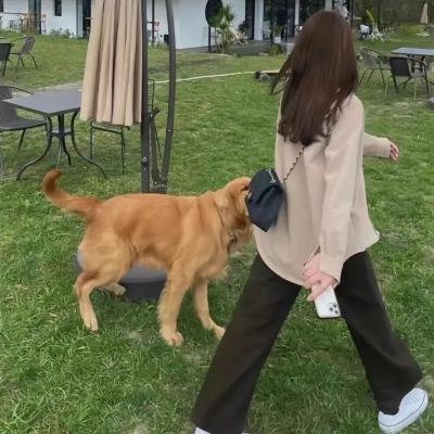 我知道我爱你